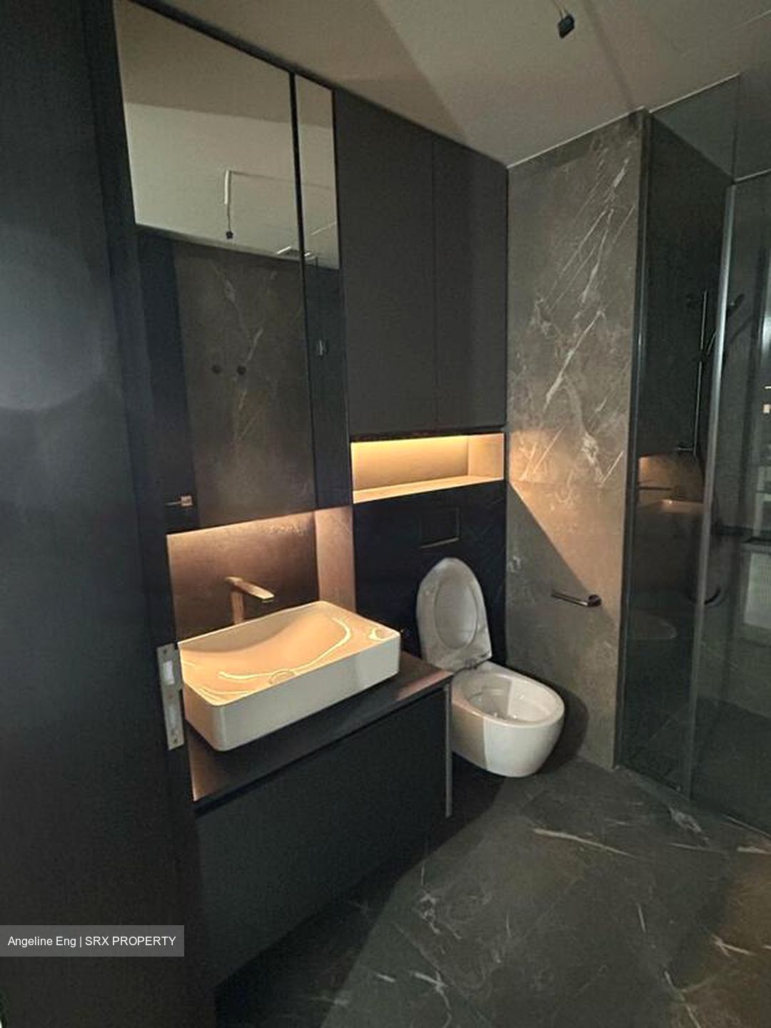 Irwell Hill Residences (D9), Apartment #597157851